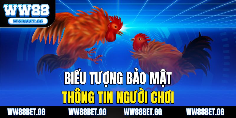 Biểu tượng bảo mật thông tin người chơi