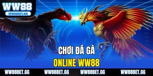 Chơi Đá Gà Online WW88 – Cá Cược Thật, Trải Nghiệm Sống Động