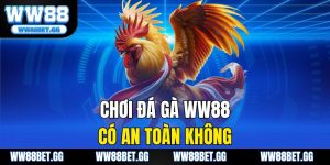 Chơi Đá Gà WW88 Có An Toàn Không? Giải Đáp Chi Tiết Từ A-Z