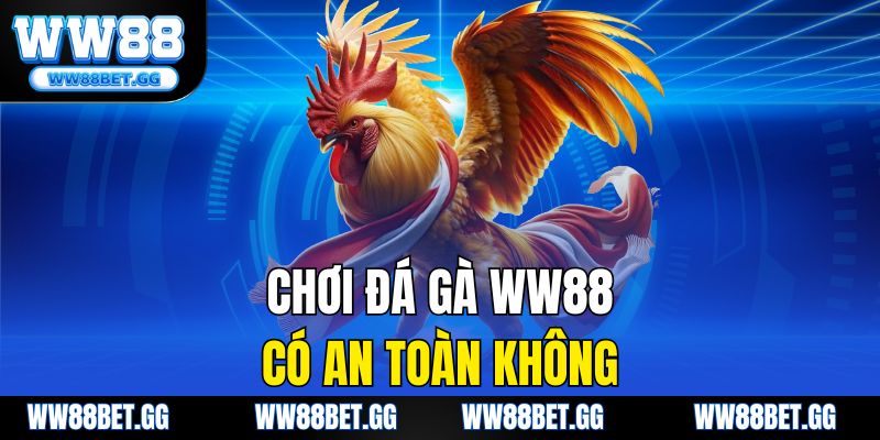 Chơi Đá Gà WW88 Có An Toàn Không? Giải Đáp Chi Tiết Từ A-Z
