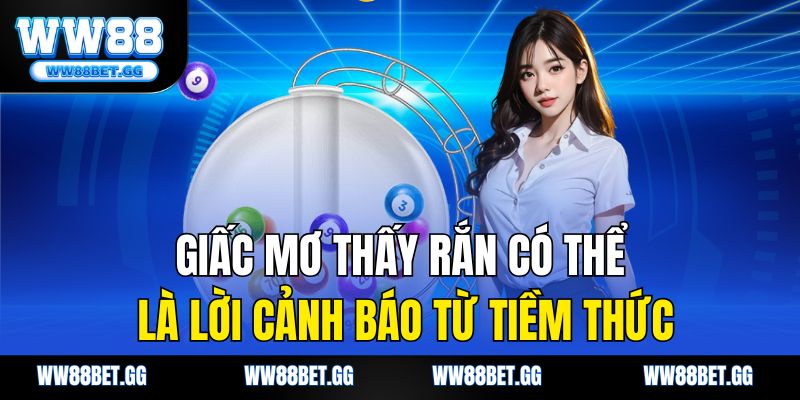 Giấc mơ thấy rắn có thể là lời cảnh báo từ tiềm thức