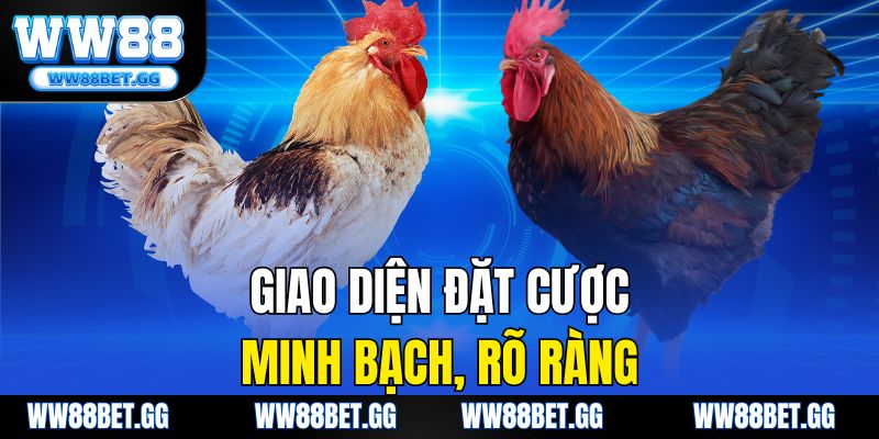 Giao diện đặt cược minh bạch, rõ ràng.