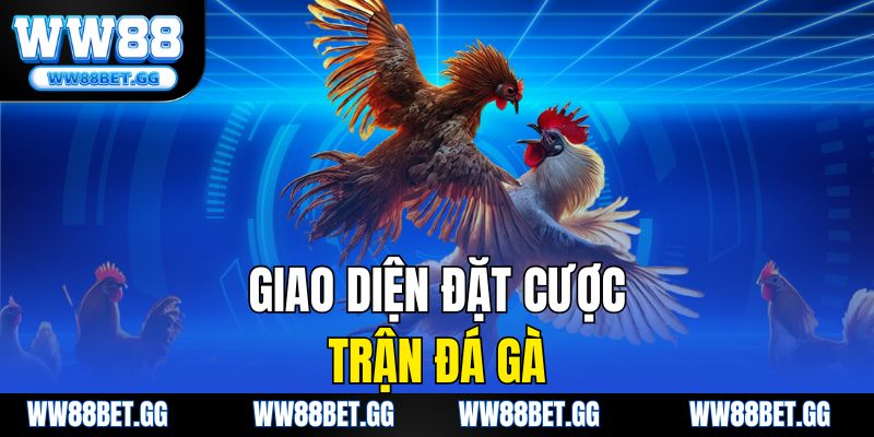 Giao diện đặt cược trận đá gà