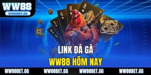 Link Đá Gà WW88 Hôm Nay – Xem Trực Tiếp Và Cược Thắng Lớn