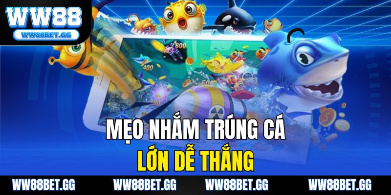 Mẹo nhắm trúng cá lớn dễ thắng
