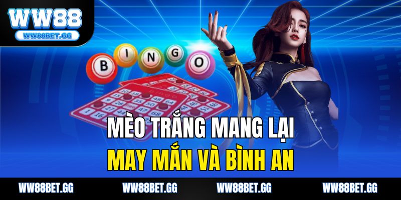 Mèo trắng mang lại may mắn và bình an