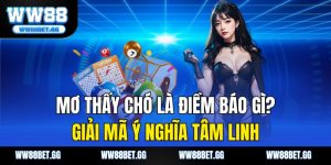 Mơ Thấy Chó Là Điềm Báo Gì? Giải Mã Ý Nghĩa Tâm Linh