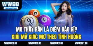Mơ Thấy Rắn Là Điềm Báo Gì? Giải Mã Giấc Mơ Theo Tình Huống