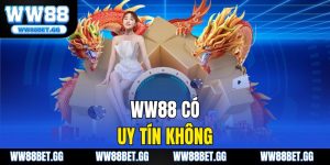 WW88 Có Uy Tín Không? Đánh Giá Chi Tiết Nhà Cái WW88